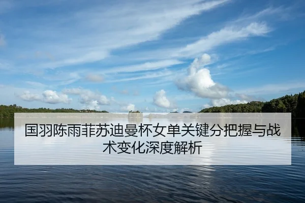 国羽陈雨菲苏迪曼杯女单关键分把握与战术变化深度解析