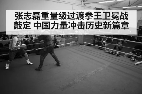 boxer training gym