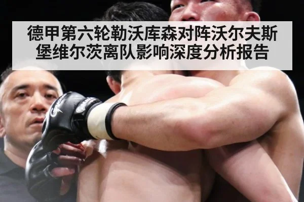 德甲第六轮勒沃库森对阵沃尔夫斯堡维尔茨离队影响深度分析报告